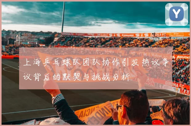 上海乒乓球队团队协作引发热议争议背后的默契与挑战分析