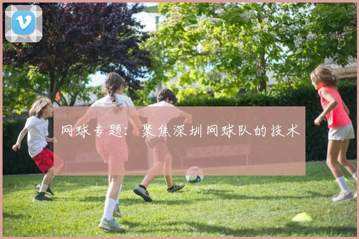 网球专题：聚焦深圳网球队的技术