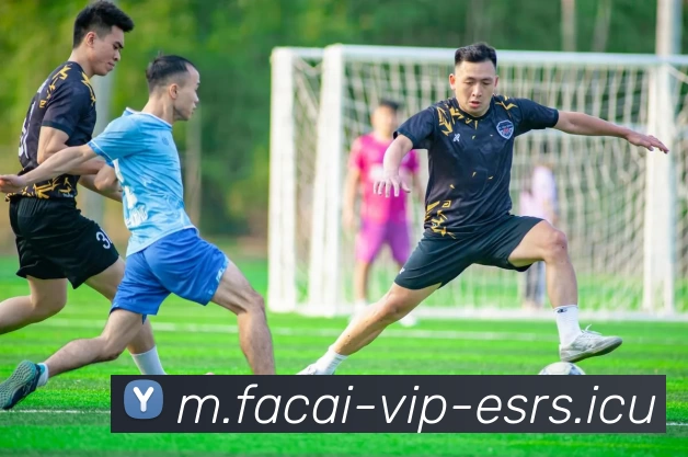 星空体育品牌故事